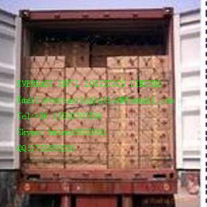 电池ddp海运拼箱双清包税到门到欧洲