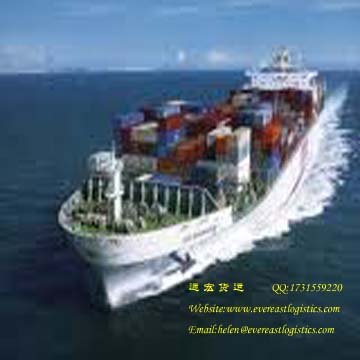 China sea freight service to SHARJAH, sea freight to SHARJAH