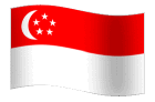 LCL door to door sea shipping service from Shenzhen to SINGAPORE