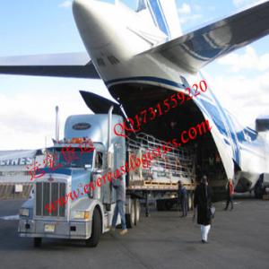 Air cargo forwarder agent service to Adeliade,Australia(ADL)