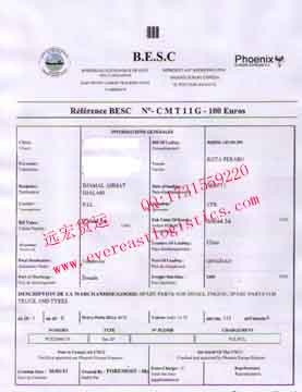 Supply Cameroon BESC, Cameroon BESC