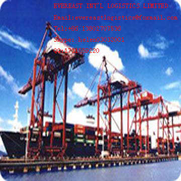 Forwarder agent service from Ningbo,China, sea freight